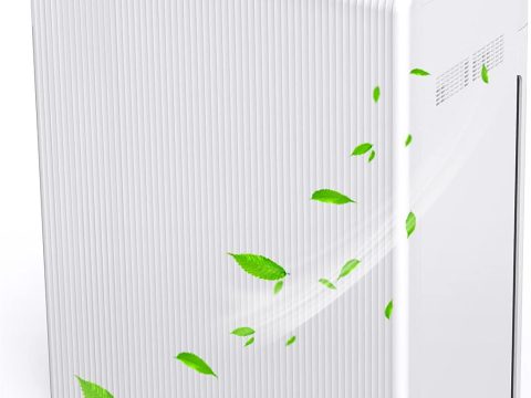 E-300L: Large Room Air Purifier for Home, Pets, and Office