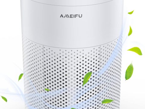 AMEIFU Large Room Air Purifier for Wildfire and Pets