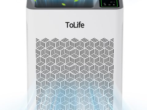 ToLife Large Room Air Purifier with PM 2.5 Display