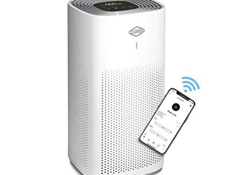 Clorox Air Purifiers: True HEPA Filter for Large Rooms
