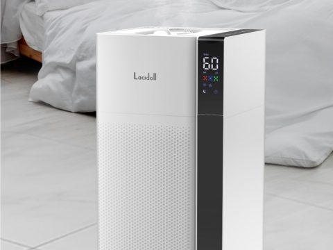 Lacidoll Large Room Humidifier: Warm and Cool Mist for Whole House