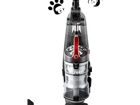 Eureka PowerSpeed NEU202: Lightweight Bagless Upright Vacuum with Swivel Steering