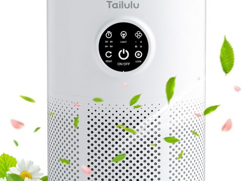 Tailulu D10: Air Purifier for Large Pet-Friendly Rooms