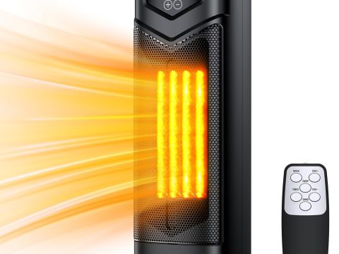 DUEDE 1500W Electric PTC Ceramic Space Heater with Thermostat & Remote
