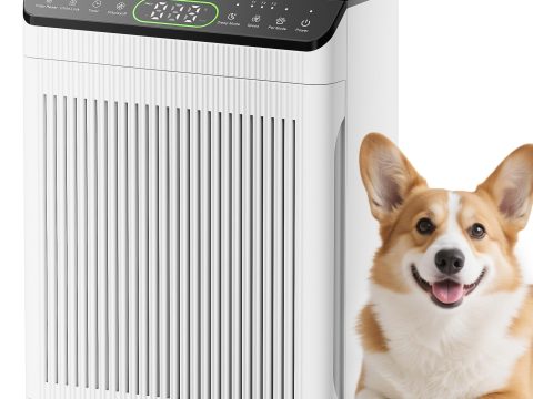 EVALIT Air Purifier for Large Rooms with Washable Filters