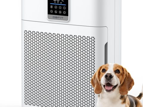 DBFIT HEPA Air Purifier for Large Rooms up to 2180 Sq Ft