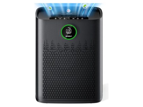 HAP603 Air Purifier for Large Rooms up to 2400 Ft²