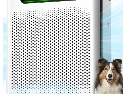 FreAire HEPA Air Purifier for Large Rooms, HAP605